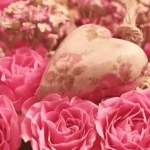 Saint valentin flores blog site fruquick