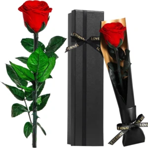 Touloube Rose Eternelle Préservée Cadeau pour Femmes pour La Fête des Mères
